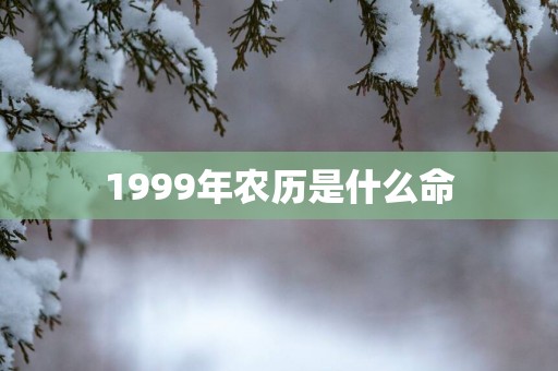 1999年农历是什么命