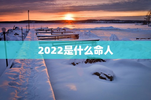 2025是什么命人