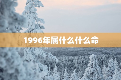 1996年属什么什么命
