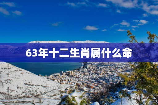 63年十二生肖属什么命