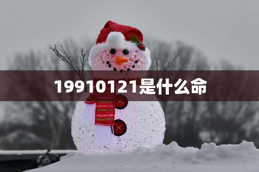 19910121是什么命