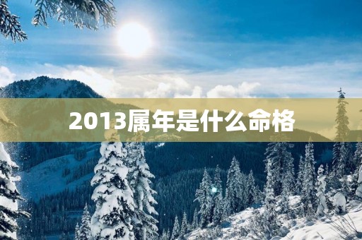 2013属年是什么命格