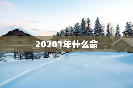 20251年什么命