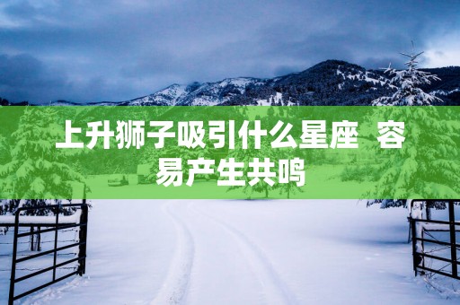 上升狮子吸引什么星座  容易产生共鸣