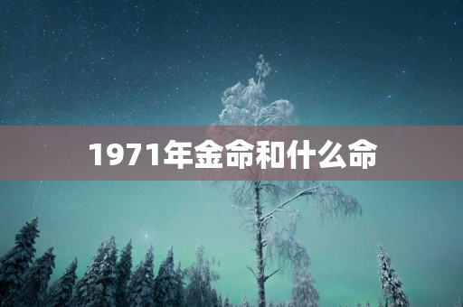 1971年金命和什么命