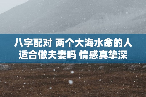 八字配对 两个大海水命的人适合做夫妻吗 情感真挚深厚