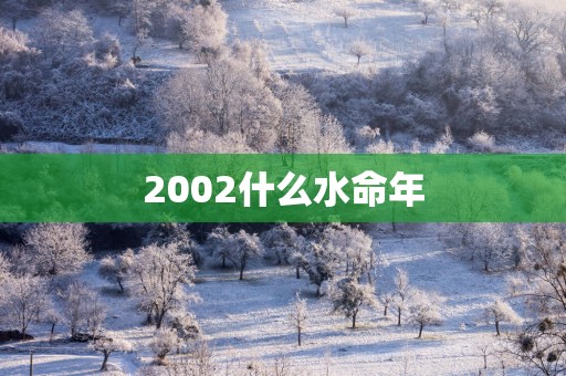 2002什么水命年