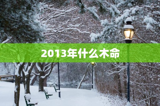 2013年什么木命