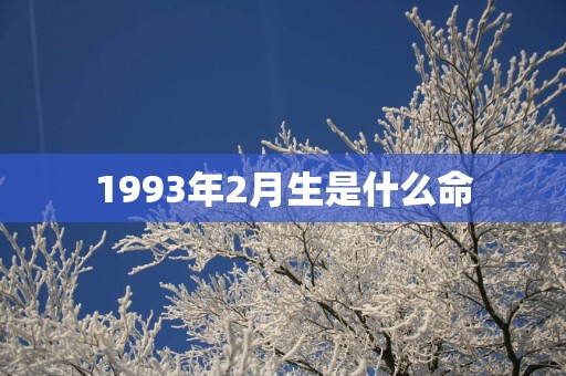 1993年2月生是什么命
