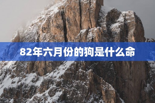82年六月份的狗是什么命