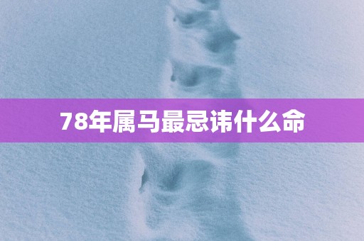 78年属马最忌讳什么命