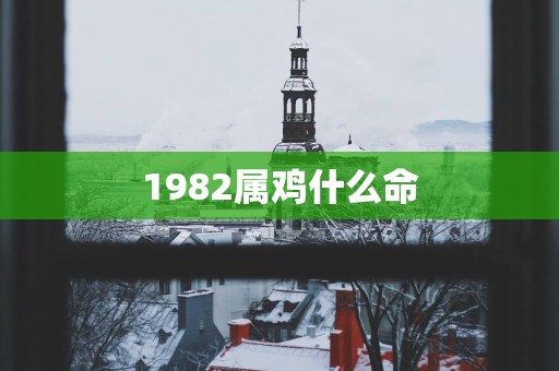 1982属鸡什么命