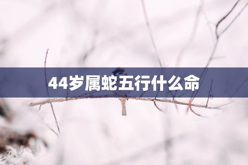 44岁属蛇五行什么命