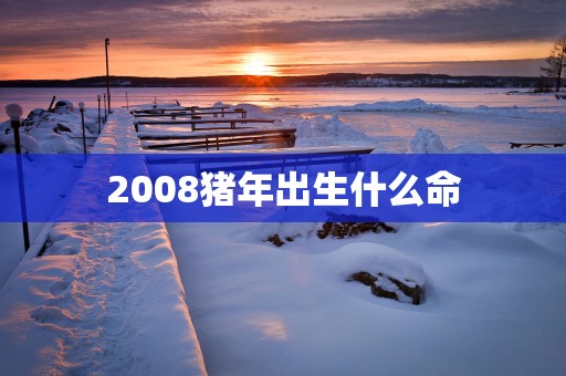 2008猪年出生什么命