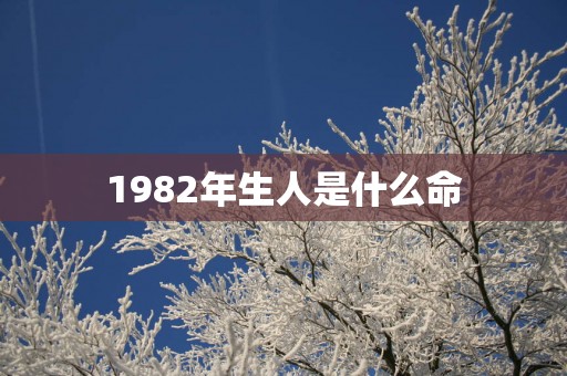 1982年生人是什么命