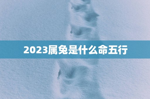 2025属兔是什么命五行
