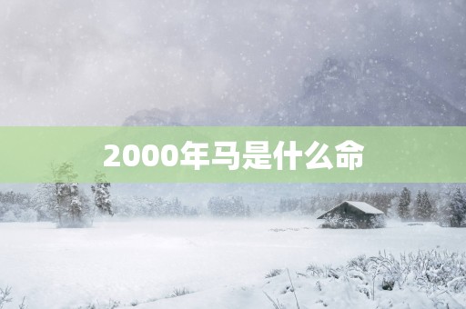 2000年马是什么命