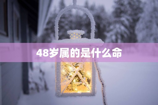 48岁属的是什么命