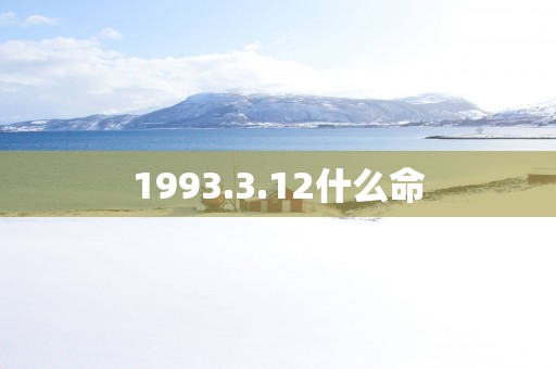 1993.3.12什么命