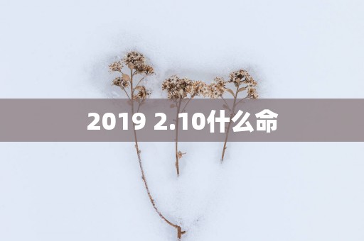 2019 2.10什么命