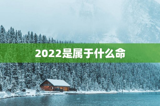 2025是属于什么命