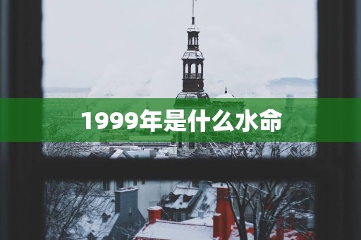 1999年是什么水命