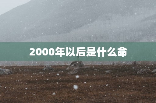 2000年以后是什么命