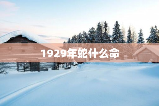 1929年蛇什么命