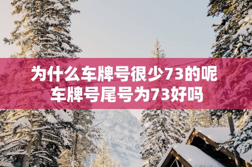 为什么车牌号很少73的呢 车牌号尾号为73好吗