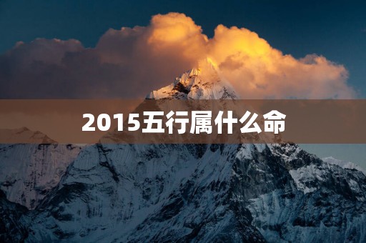 2015五行属什么命