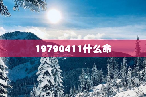 19790411什么命