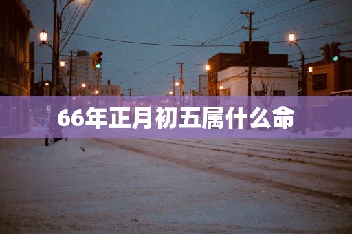 66年正月初五属什么命
