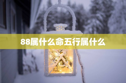 88属什么命五行属什么