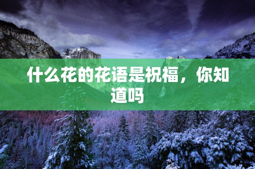 什么花的花语是祝福，你知道吗