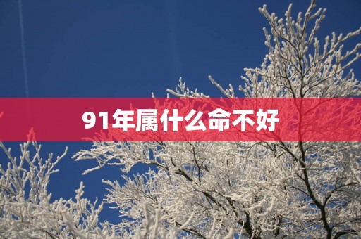 91年属什么命不好