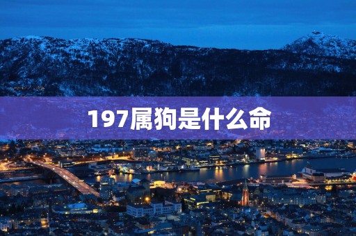 197属狗是什么命