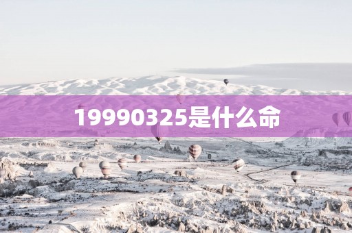 19990325是什么命