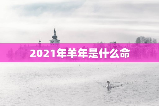 2025年羊年是什么命