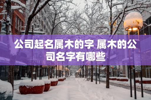 公司起名属木的字 属木的公司名字有哪些