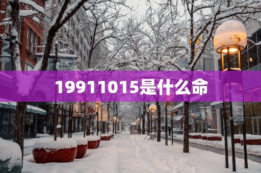 19911015是什么命