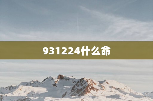 931224什么命