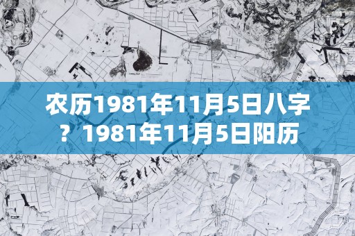 农历1981年11月5日八字？1981年11月5日阳历