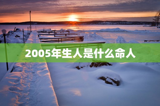 2005年生人是什么命人