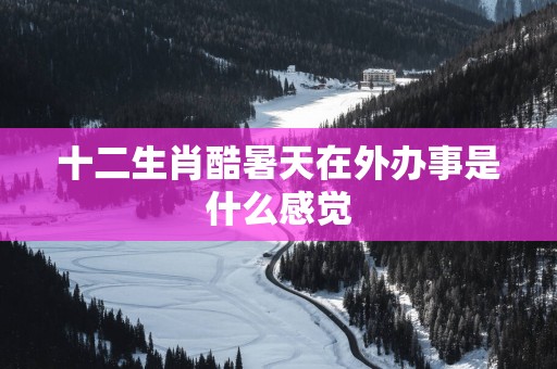 十二生肖酷暑天在外办事是什么感觉