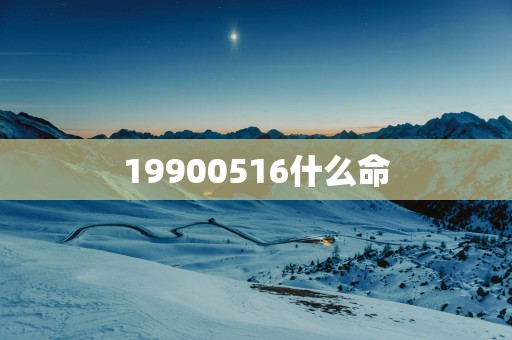 19900516什么命