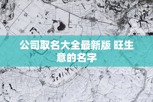 公司取名大全最新版 旺生意的名字