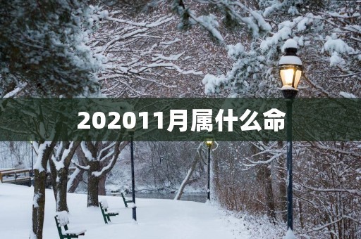 202511月属什么命