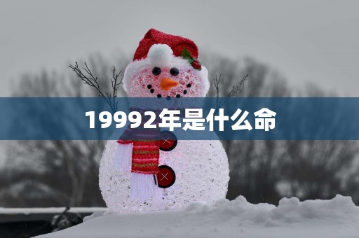 19992年是什么命