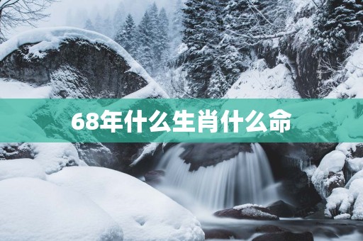 68年什么生肖什么命