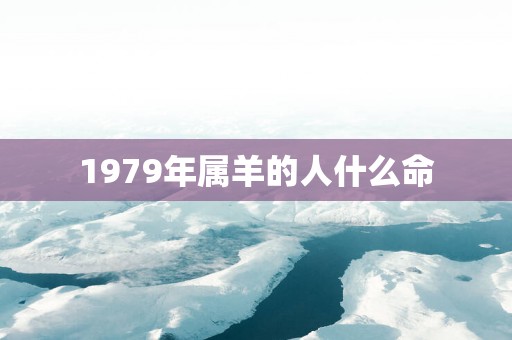 1979年属羊的人什么命